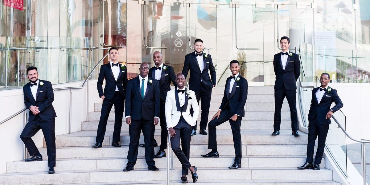 Explore Our Collection